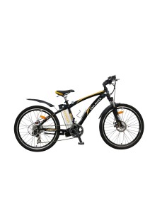 E-RIDER