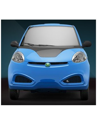 voiture electrique GM