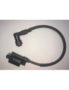 BOBINE ALLUMAGE LEGEND