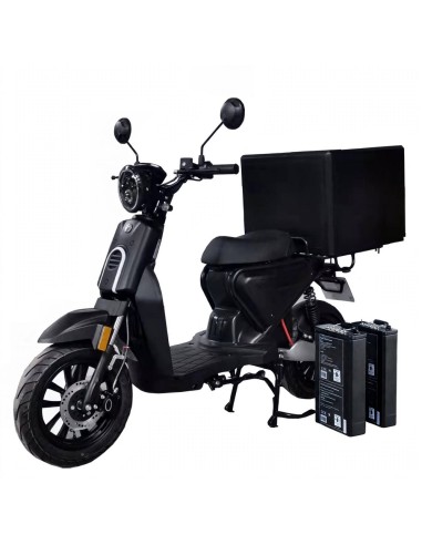SCOOTER CKA Express deux Batterie...