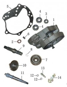 Pignon de transmission (roue)